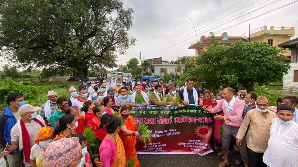 सर्लाहीमा पनि बिभिन्न कार्यक्रम गरि राष्ट्रिय धान दिवस मनाईयो