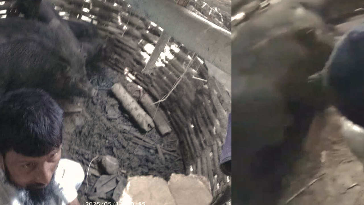 सर्लाहीमा मुस्लिम व्यक्तिमाथि अमानवीय व्यवहार : सुंगुरको खोरमा थुनेर कुटपिट, ६ जना पक्राउ