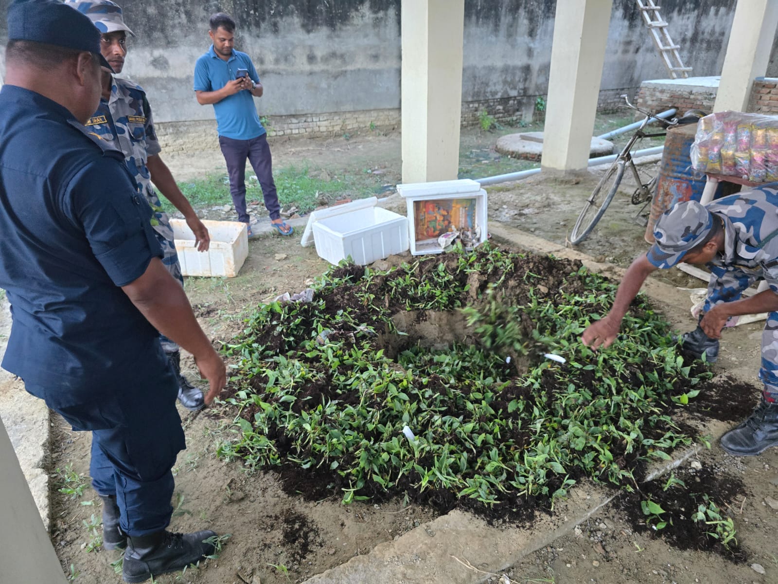 सीमामा अवैध केराको बिरुवा बरामद, झण्डै साढे ७ लाख बराबरको सामान क्वारेन्टाइन कार्यालयमा बुझाइयो