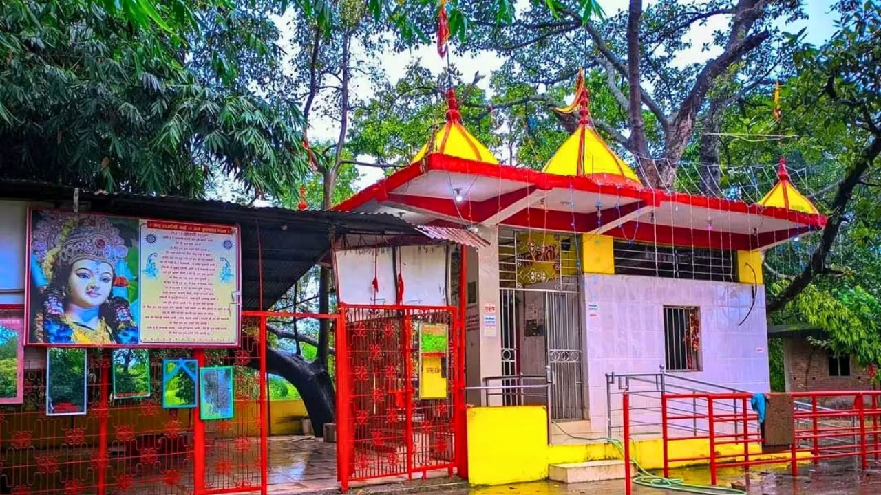 राजदेवी मन्दिरमा मध्यराति चोरी, बाँसघारीमा भेटियो फुटाइएको दानपेटी
